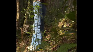 Chica en el bosque follando